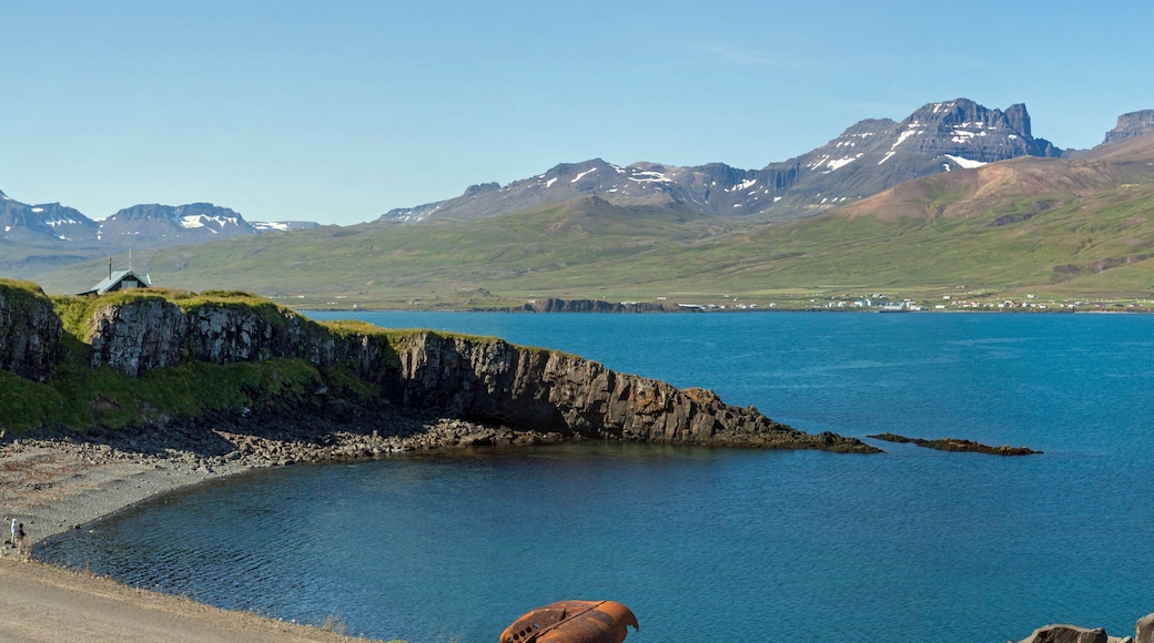 بورجارفجوردور إيستري