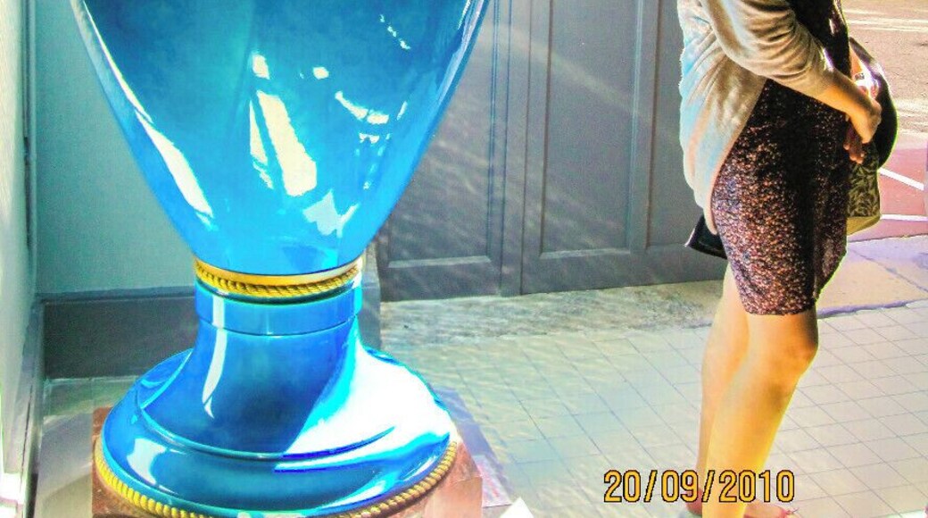 How big can be a vase? The manufacture nationale de Sèvres is a porcelain factory in Sèvres, France. Formerly a royal, then an imperial factory, the facility is now run by the Ministry of Culture.