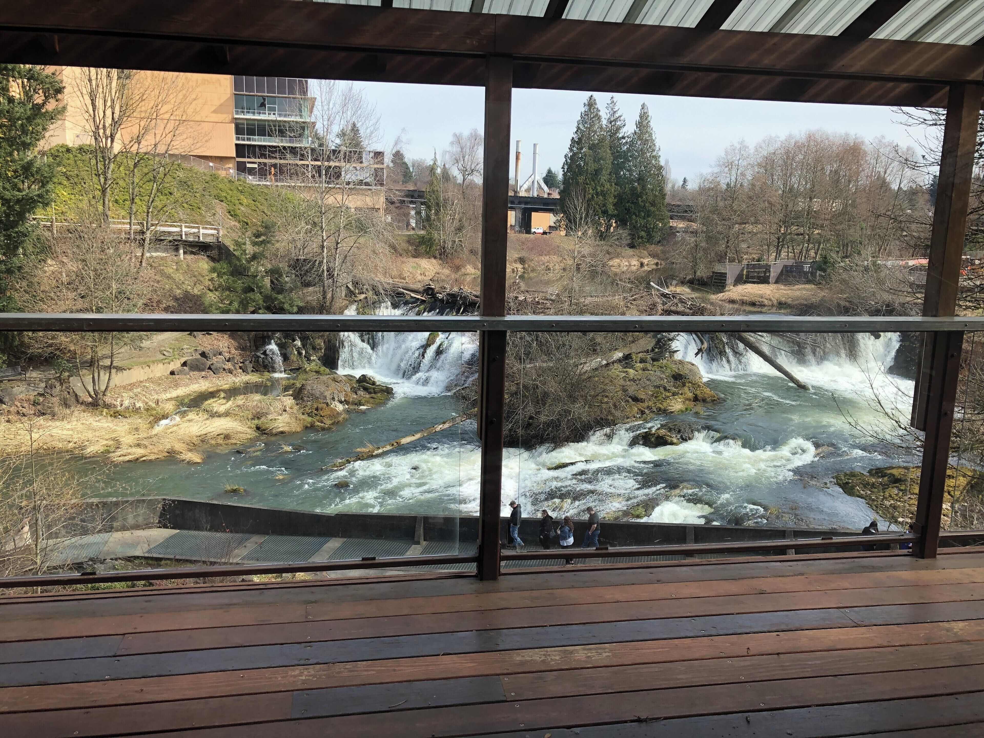 Not worth the price for food.