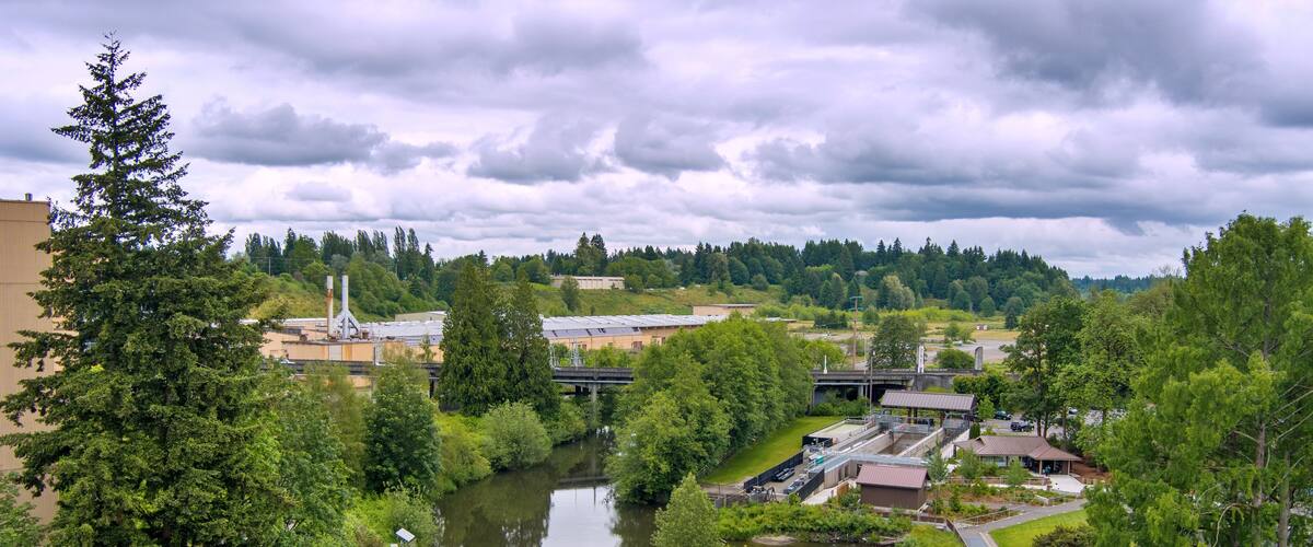 Aerial view of Tumwater Falls in June