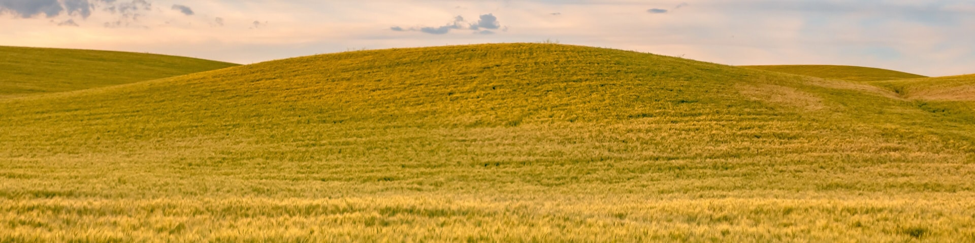 Rolling hills and Farm Land at palouse washington