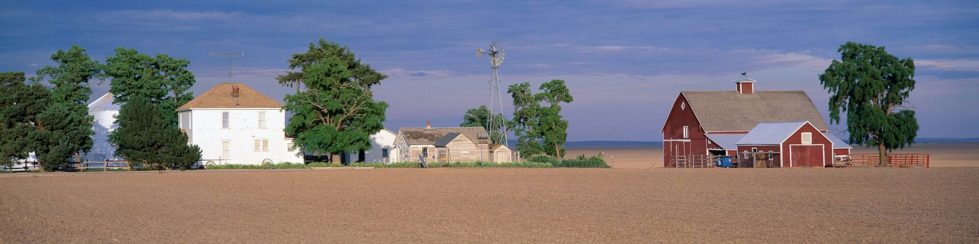 Farm at Sunset, South Ritzville, Route 261, S.E. Washington