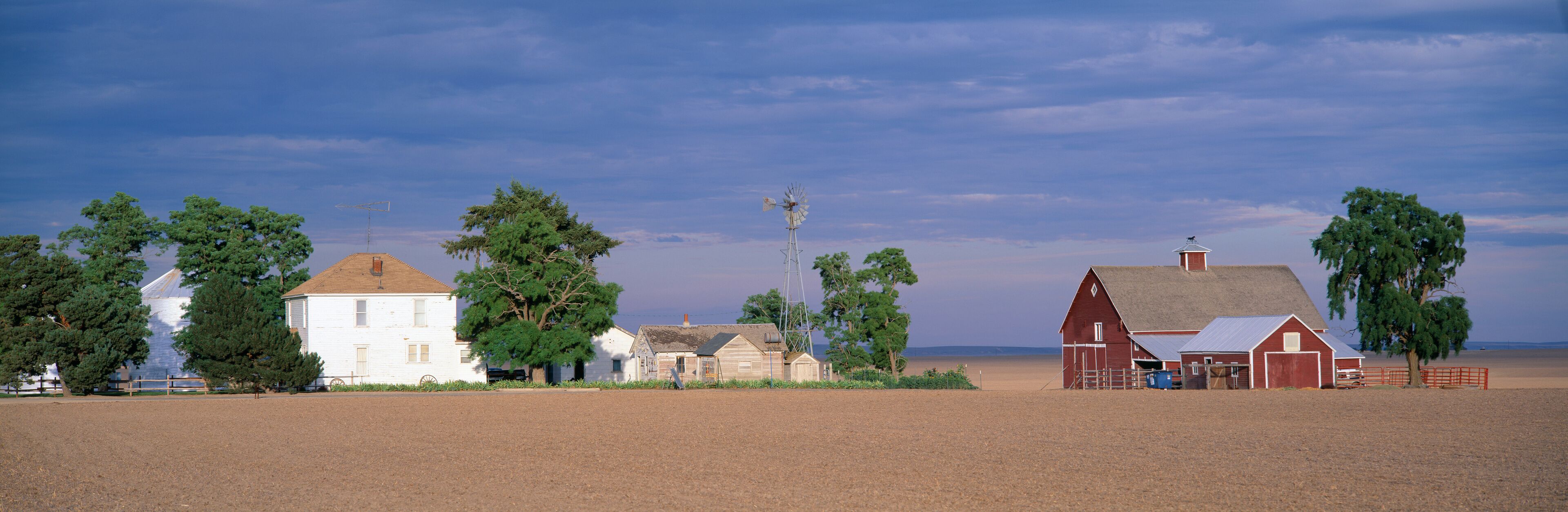 A rural landscape with a white house, a red barn, and several trees.