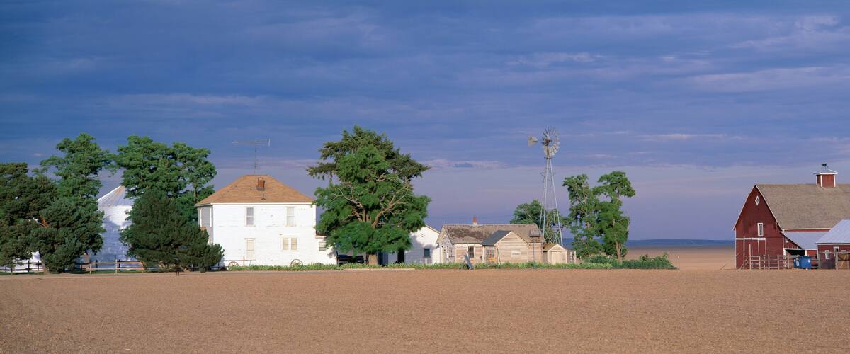 A rural landscape with a white house, a red barn, and several trees.