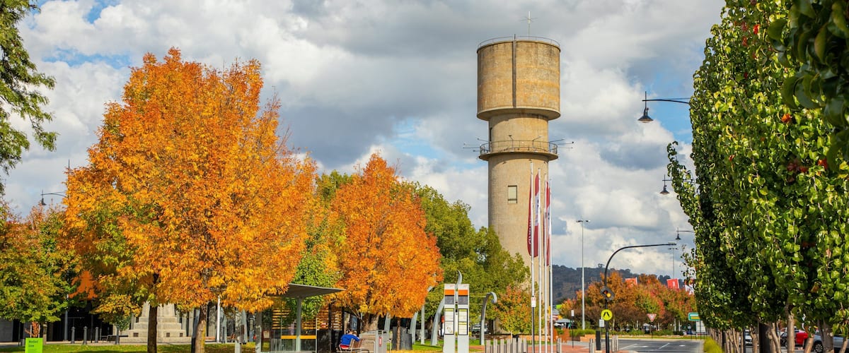 Wodonga which includes a park and fall colors