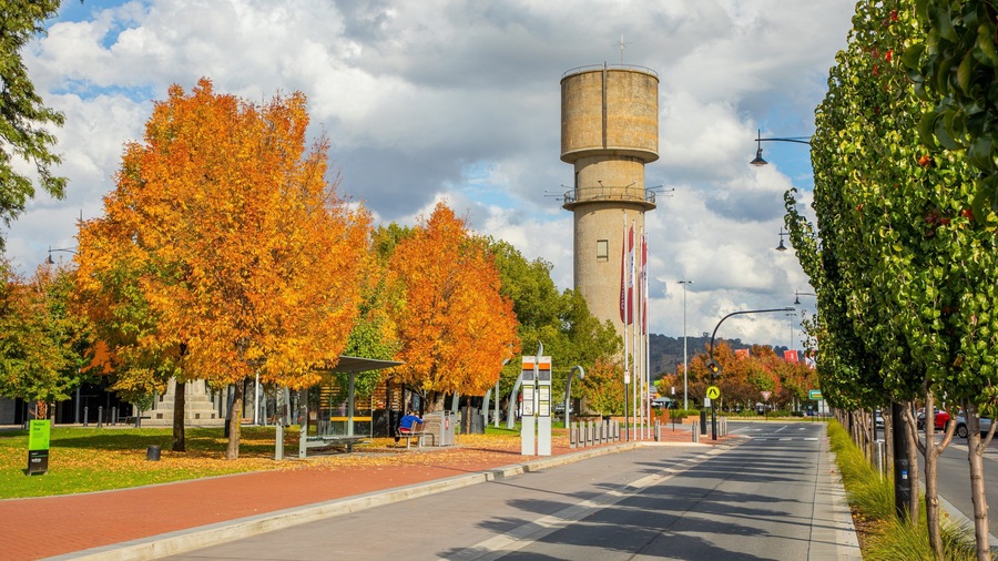 Wodonga which includes a park and fall colors