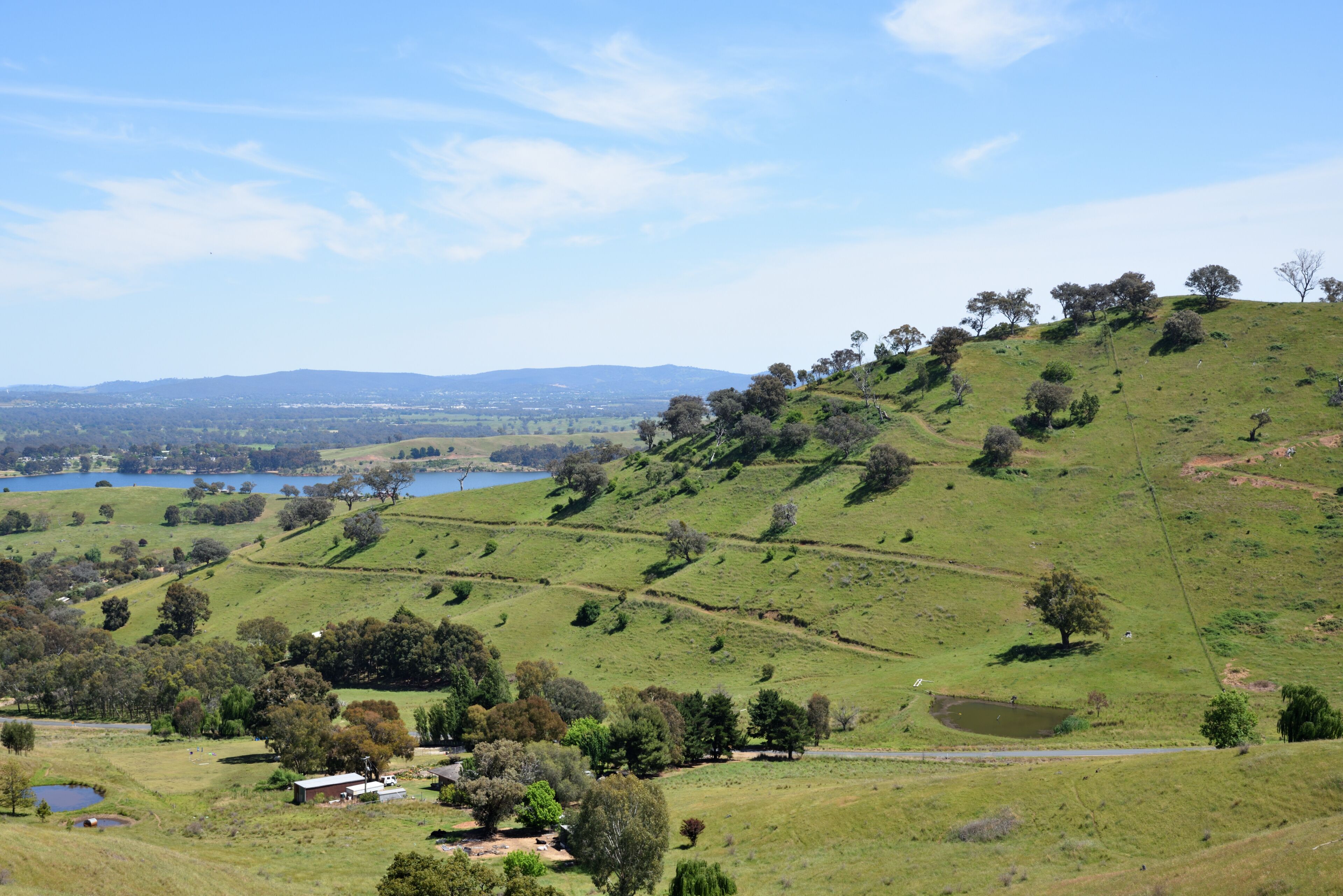Colinas ondulantes, un lago y árboles dispersos.