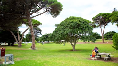 Queenscliff which includes a garden