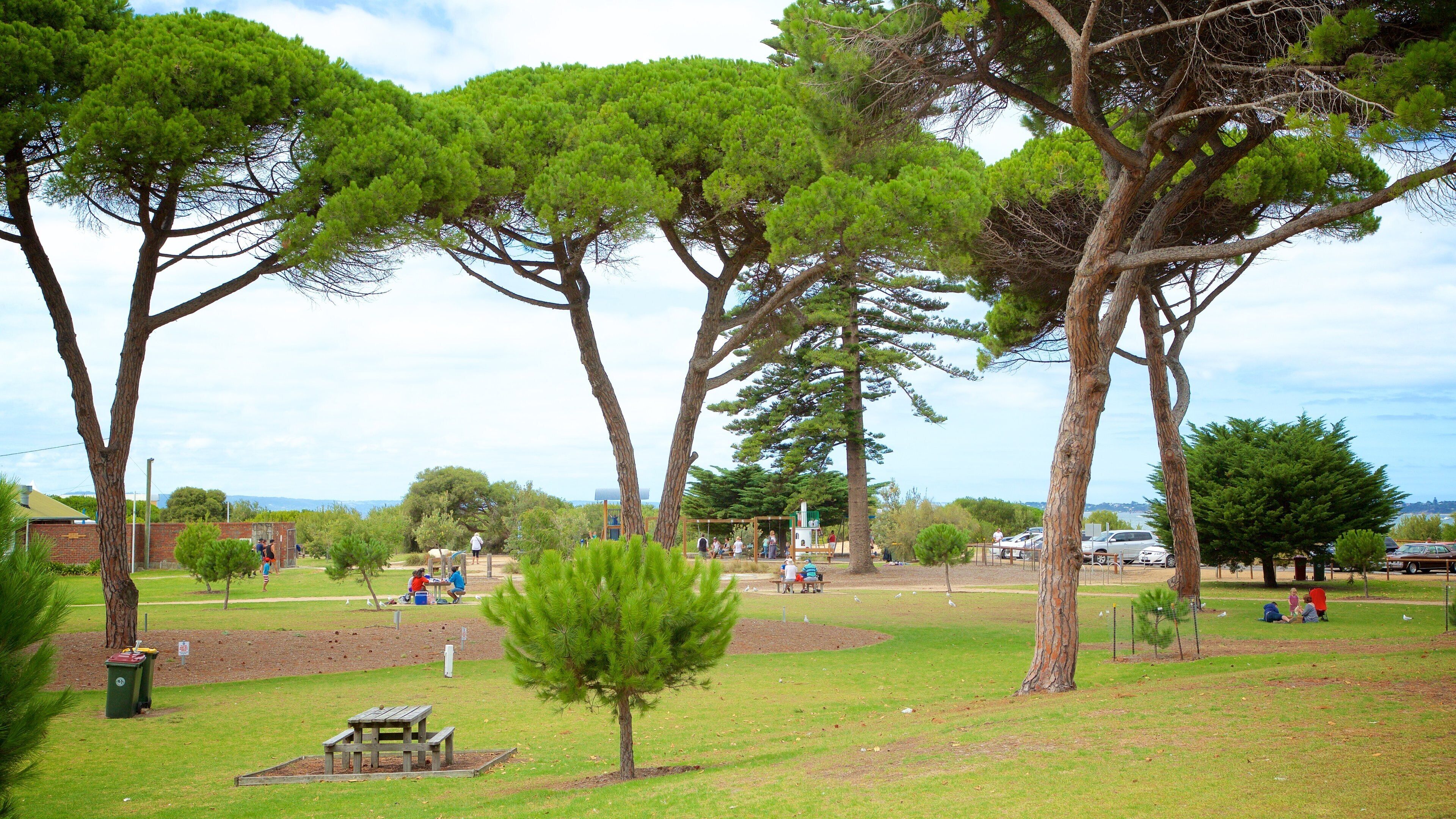 Queenscliff which includes a park