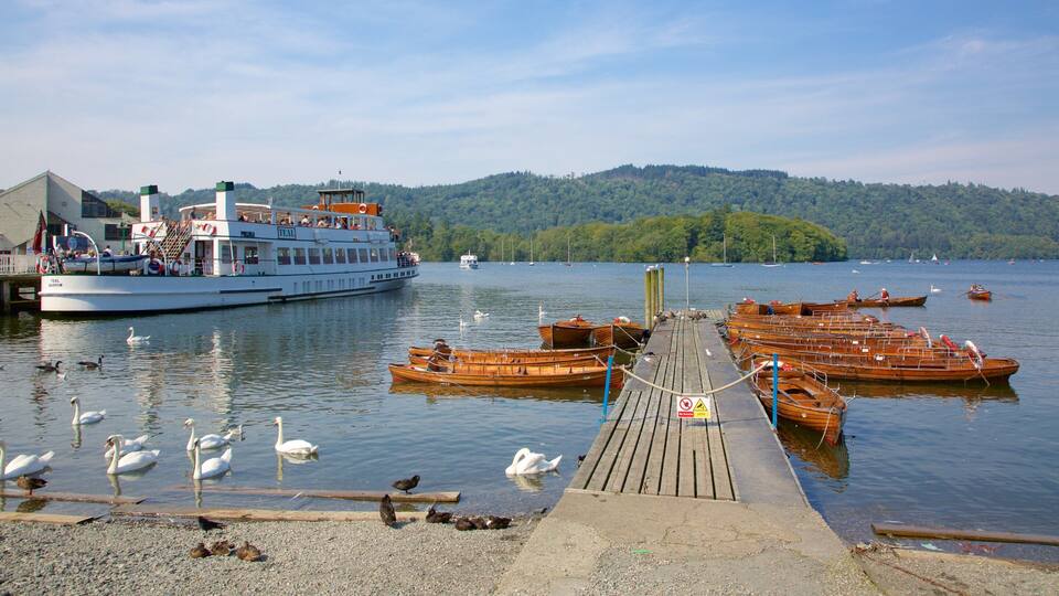 A lake with a large white boat docked at a wooden pier, surrounded by smaller wooden boats.