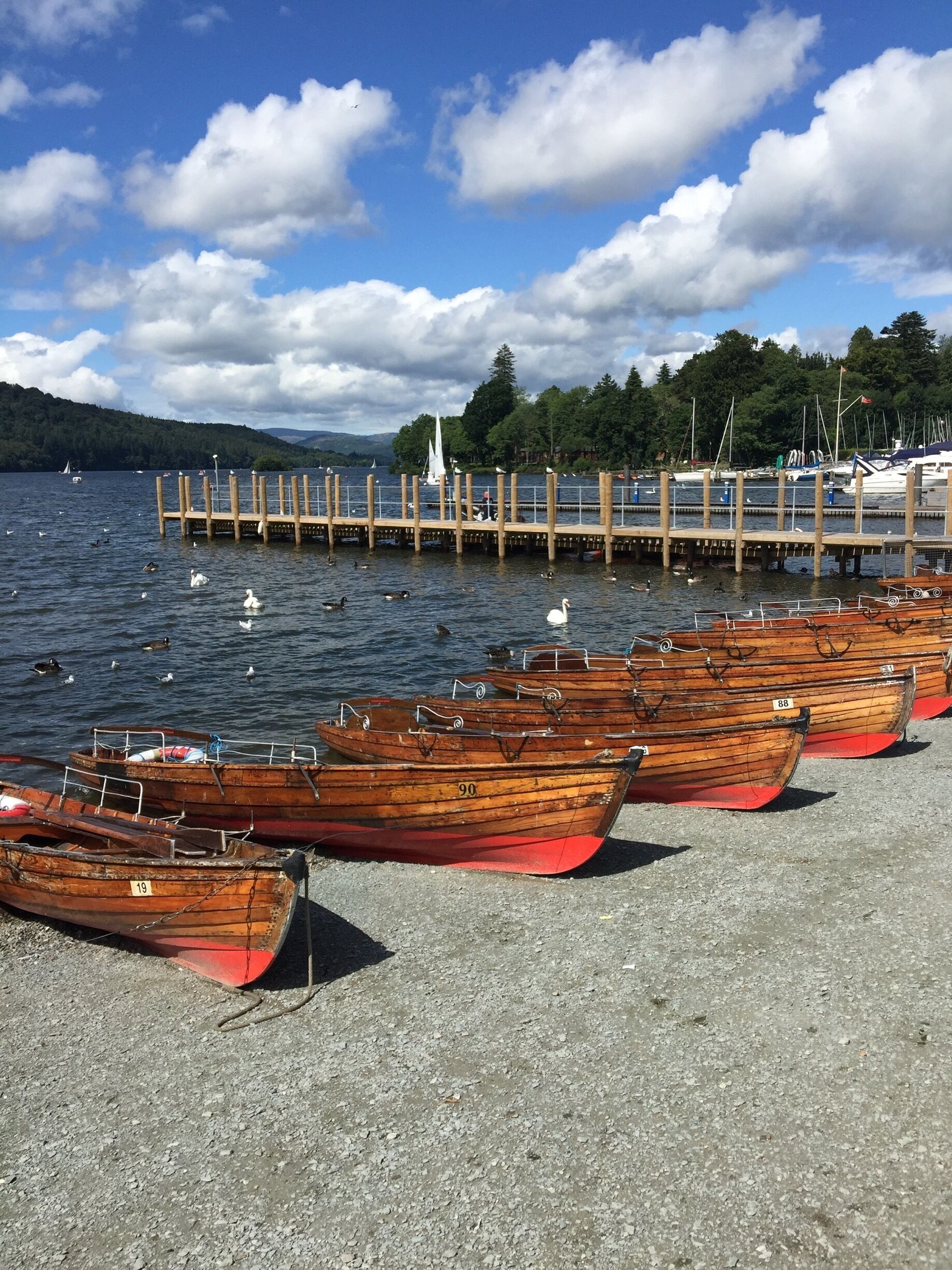 Wooden boats lined up on a gravel dock by a lake with sailboats in the background.