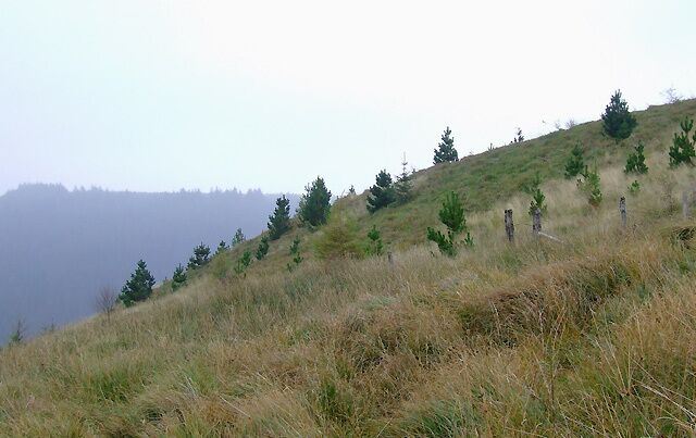 Hillsides above Cwm Irfon, Powys Taken eastwards from the hillside above Nant-y-Brain farm, south of Abergwesyn. The bridleway up starts by following the road south-eastwards, NOT as shown on the OS maps.