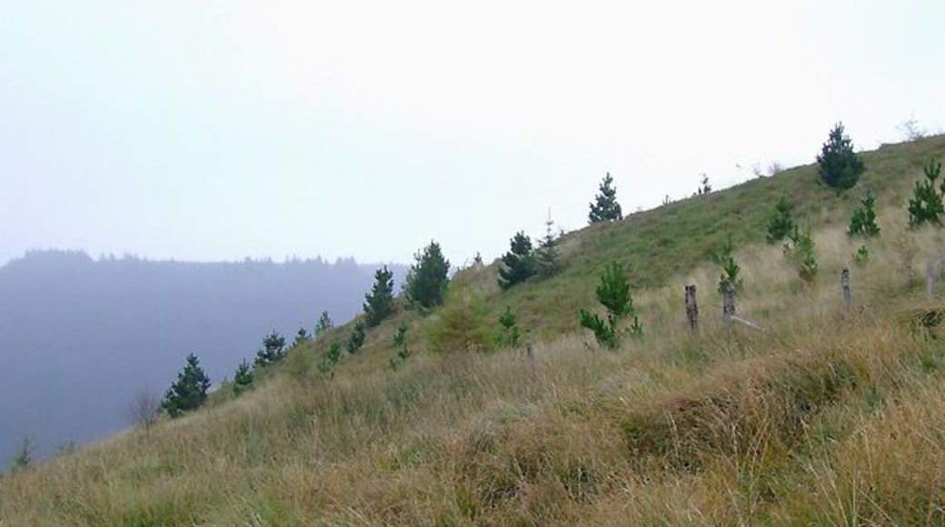 Hillsides above Cwm Irfon, Powys Taken eastwards from the hillside above Nant-y-Brain farm, south of Abergwesyn. The bridleway up starts by following the road south-eastwards, NOT as shown on the OS maps.