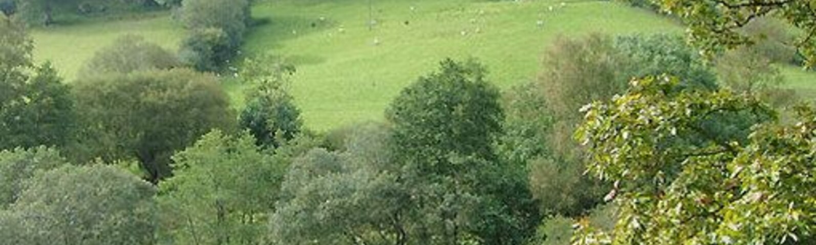 Across Cwm Cnyffiad, Powys Between Beulah and Abergwesyn there are good views of the Cnyffiad valley. This one, looking across past the farm at Lloft-y-Bardd to Cwm Pisoden is particularly picturesque.