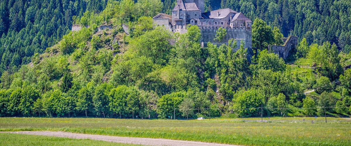 A castle on a hill surrounded by dense forest.