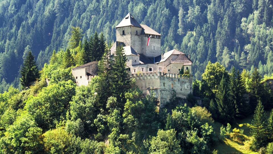 A castle surrounded by dense forest.