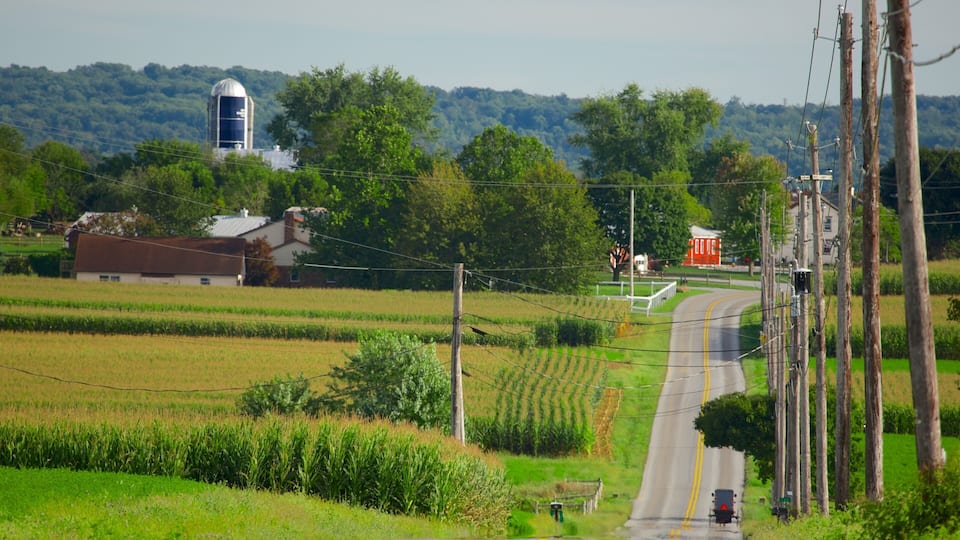 A rural road with fields, a silo, and a red building.