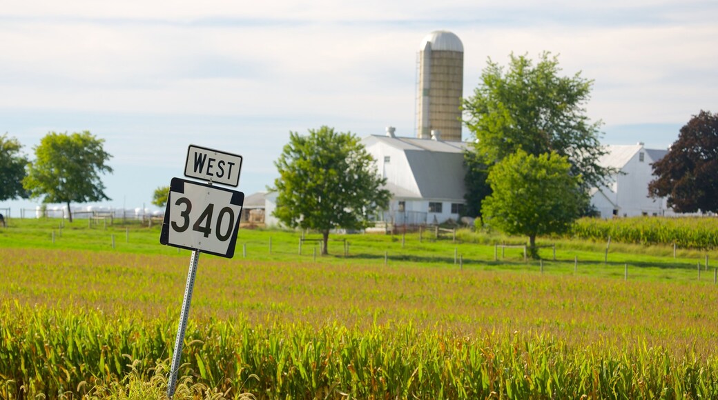 Intercourse showing farmland