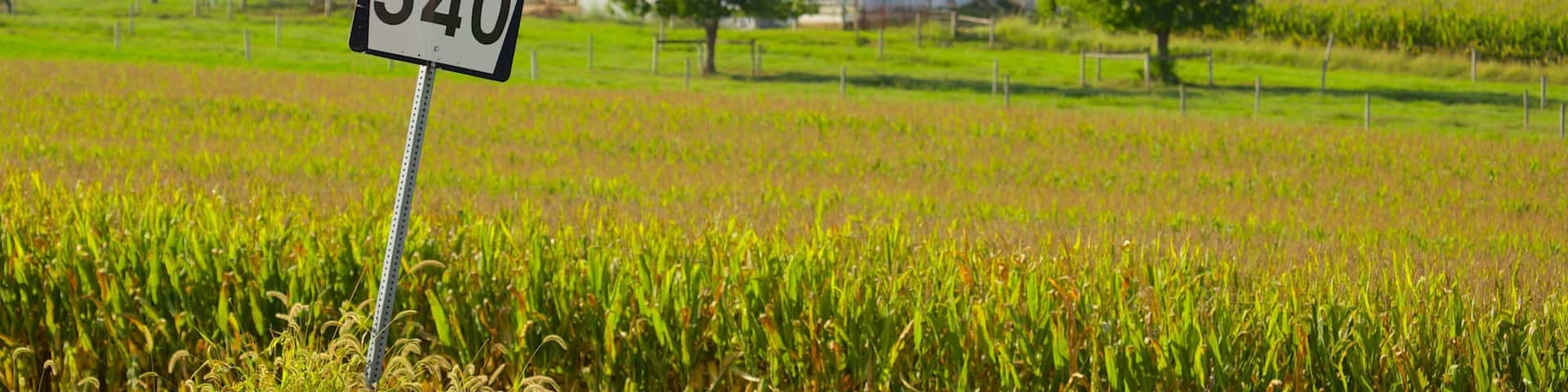 Intercourse showing farmland