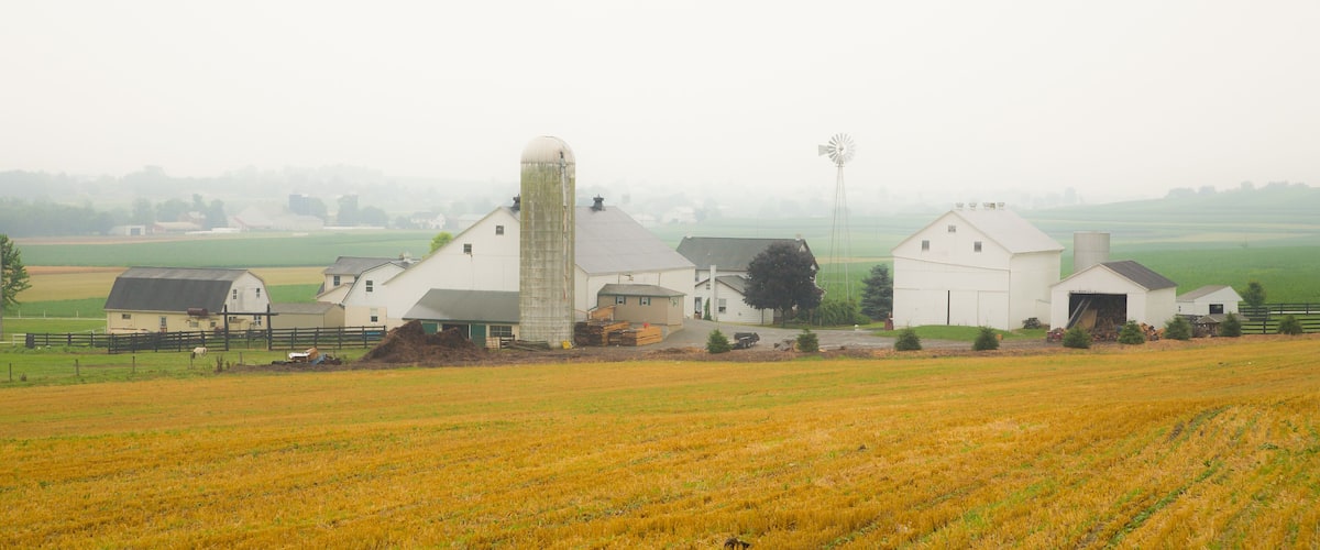 A rural farm with barns and a silo.