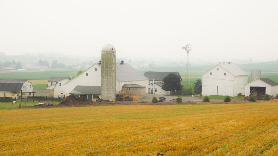 A rural farm with barns and a silo.