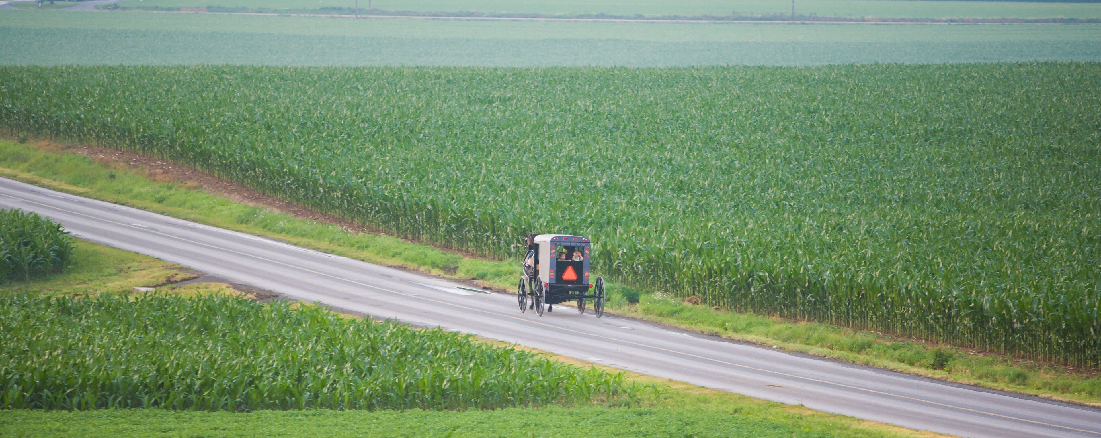 Intercourse, Pennsylvania;  Amish horse drawn buggy (wagon) near Intercourse, PA, boy and girl looking out back window