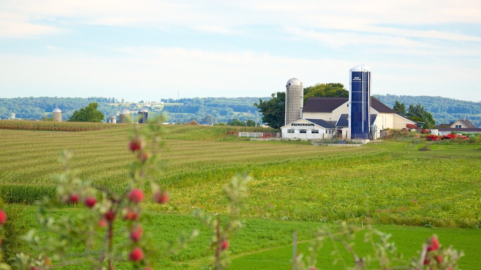 A rural landscape with a farm, fields, and a silo.