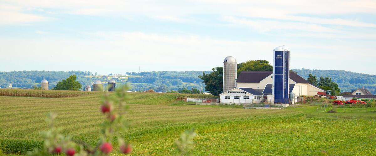 Intercourse featuring landscape views and farmland