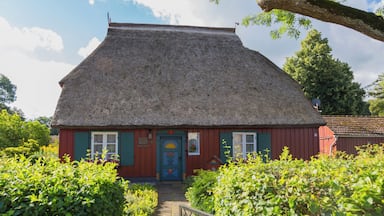 Uma casa com telhado de palha e fachada vermelha, com uma porta azul, rodeada por vegetação exuberante.