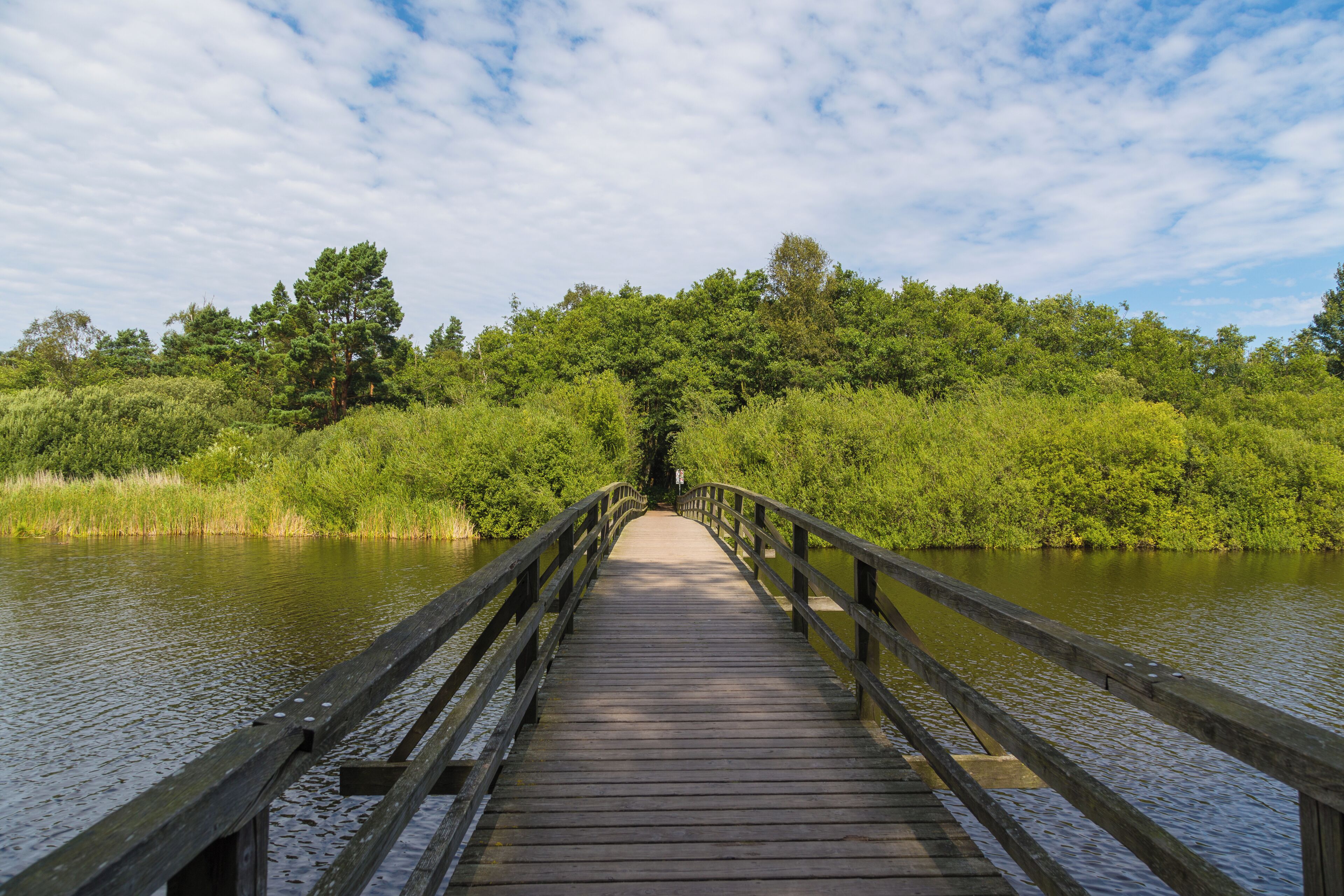 Wooden footbridge over the Prerow-Strom in Prerow, Landkreis Vorpommern-Rügen, Mecklenburg-Vorpommern, Germany.