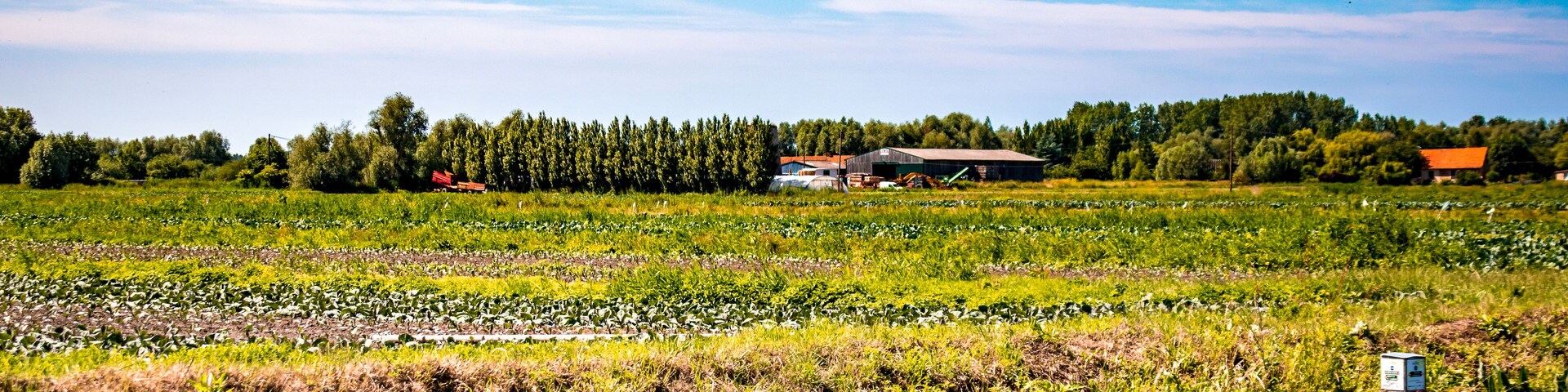 Marais Audomarois dans le Pas de Calais, en France