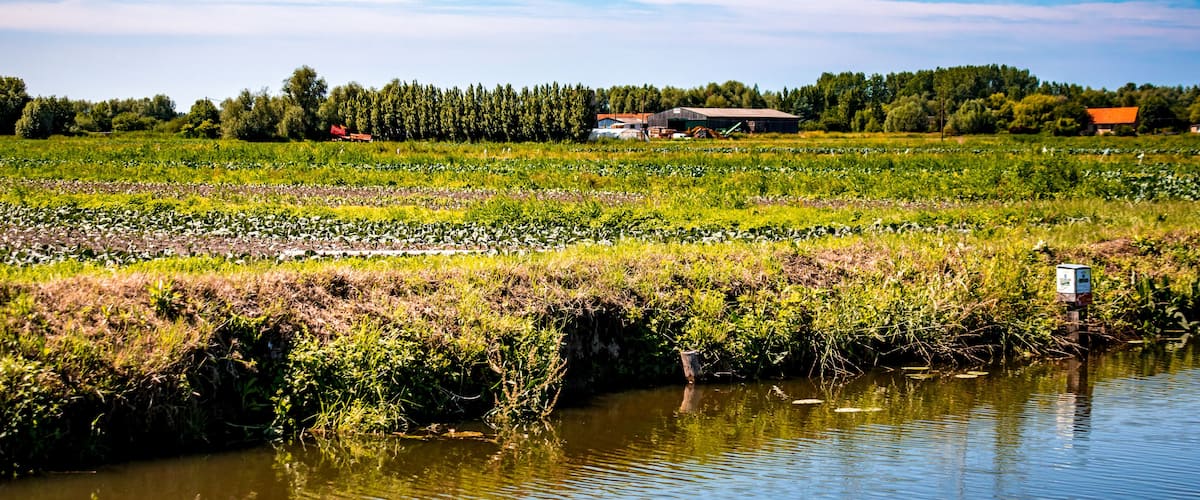 A river with a small bridge, a field with crops, and a building in the distance.