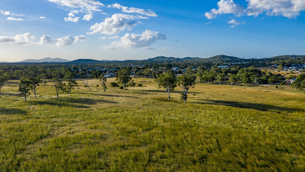 A grassy field with scattered trees and a distant town with houses and mountains.