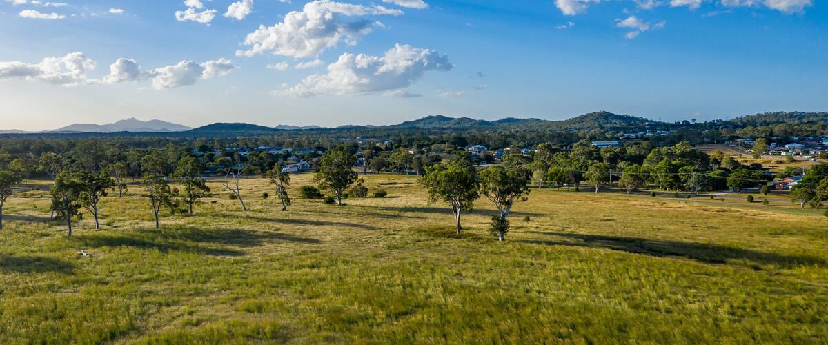 A grassy field with scattered trees and a distant town with houses and mountains.