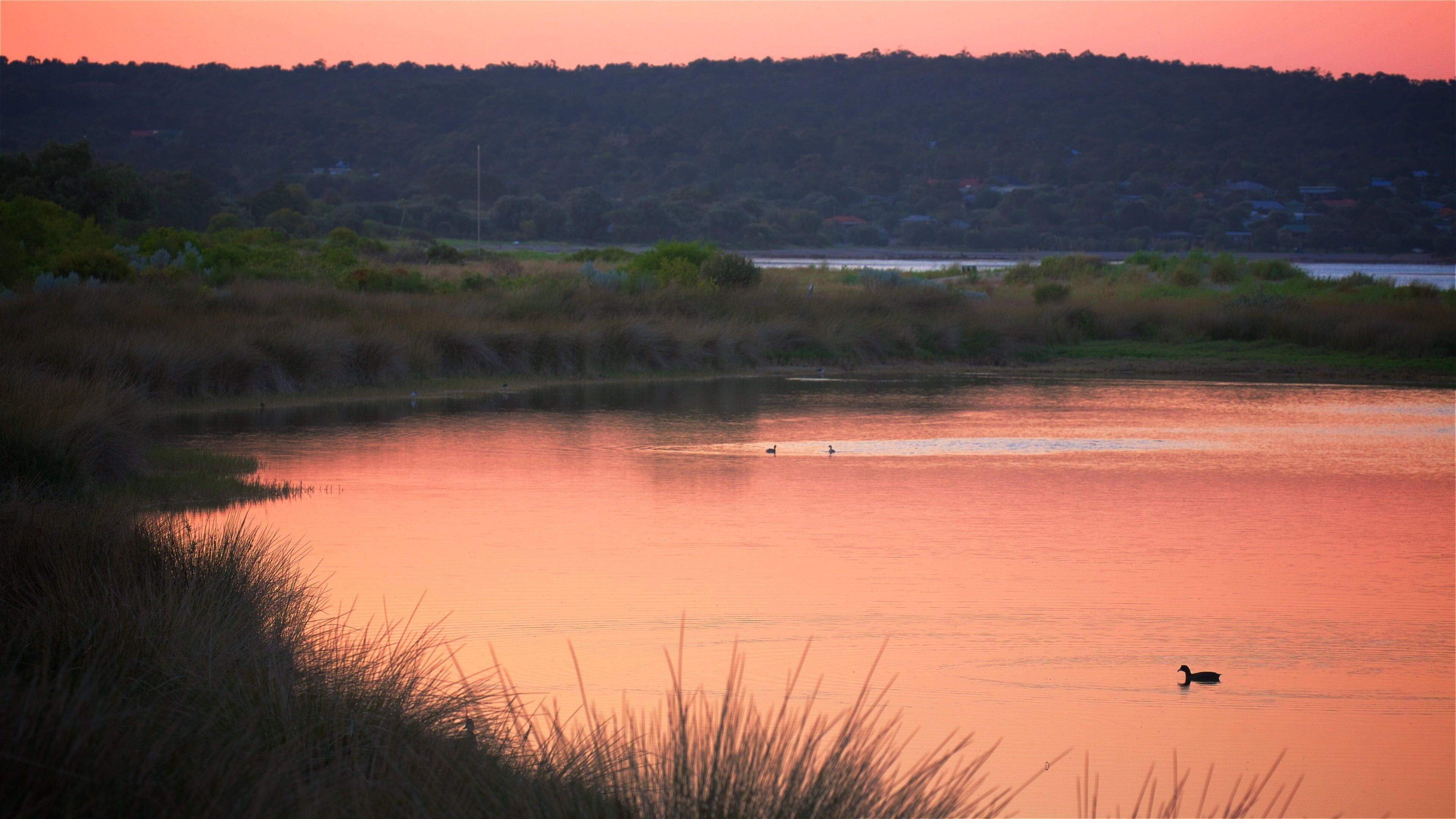 Länsi-Australia joka esittää linnusto, auringonlasku ja maisemat