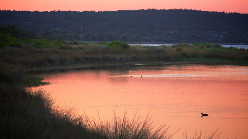 Australia Occidental que incluye vistas panorámicas, aves y un atardecer