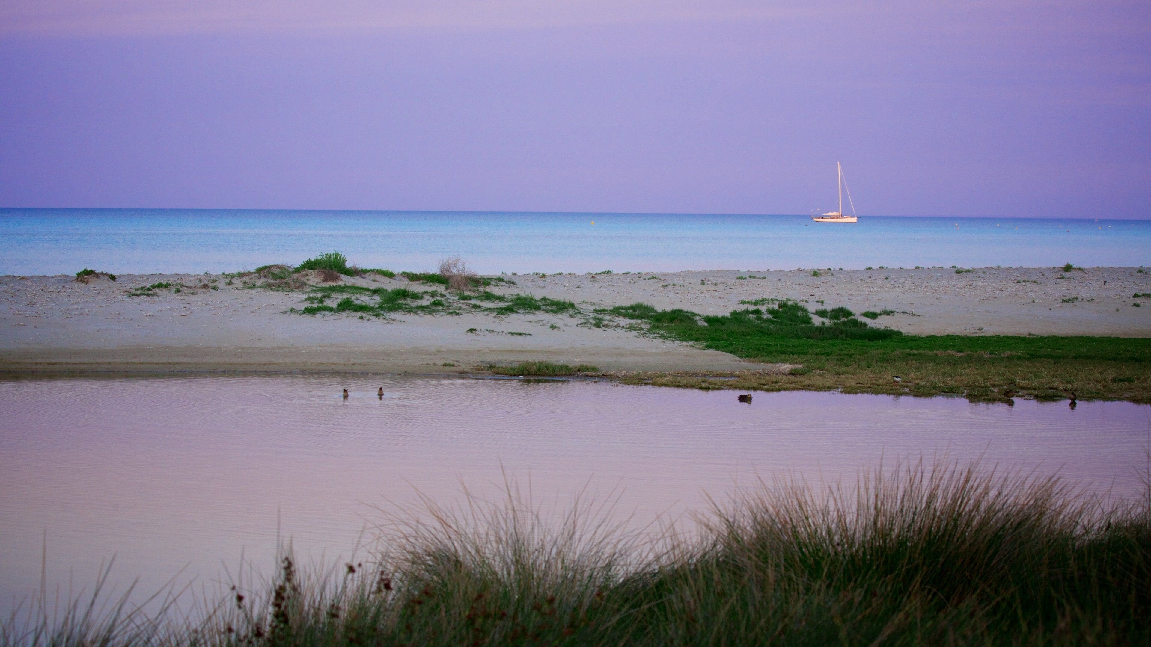 Dunsborough caracterizando uma praia de areia, um pôr do sol e canoagem