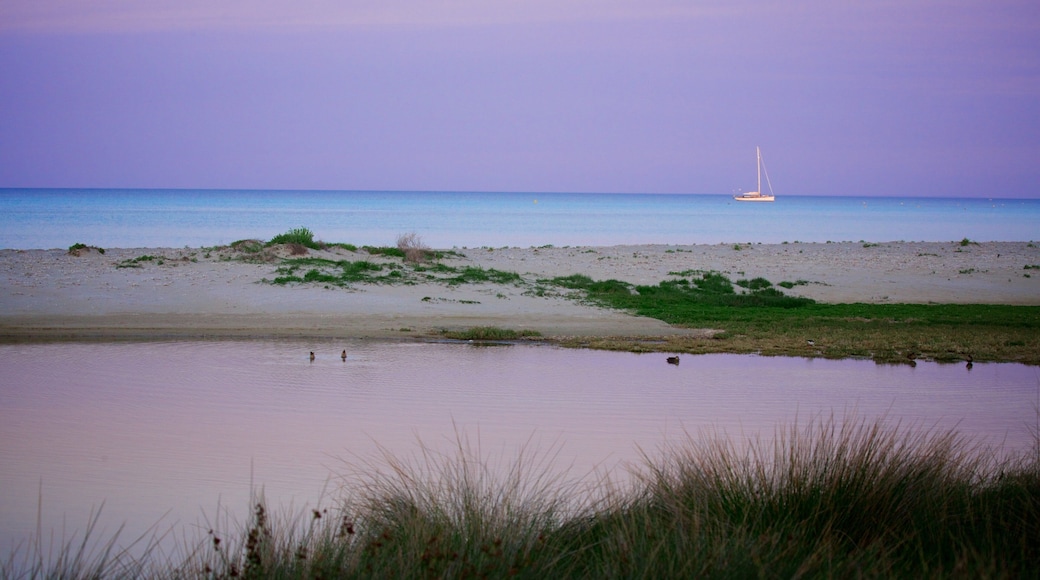 Dunsborough caracterizando uma praia de areia, um pôr do sol e canoagem