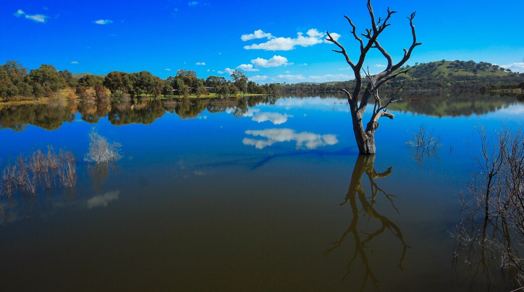 Lake Eildon, located at the town of Eildon, within Lake Eildon National Park, southern Victoria, Australia