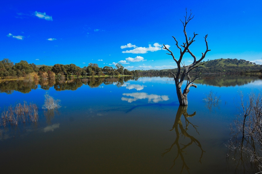Lake Eildon, located at the town of Eildon, within Lake Eildon National Park, southern Victoria, Australia