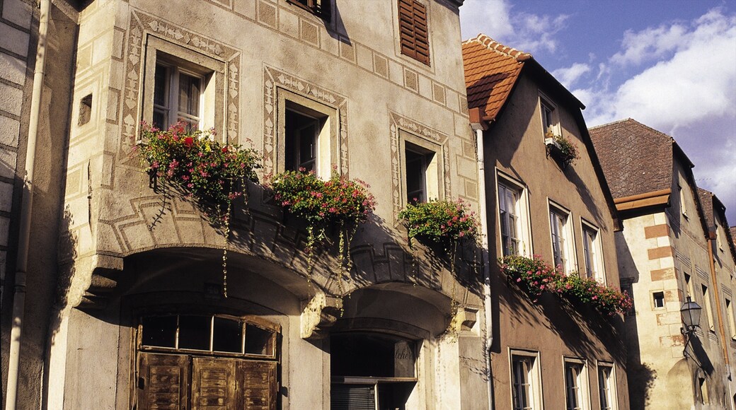 Krems an der Donau featuring heritage architecture and a house