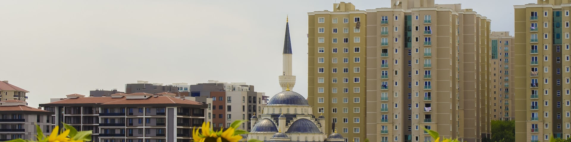 Sunflower field against background of multi-colored farm fields with colorful agricultural crops. Farming in Turkey. Agricultural field in the suburbs of Istanbul, Silivri. Selective focus image.