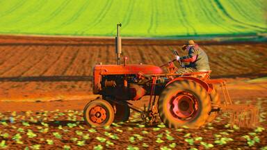 Ulverstone showing farmland as well as an individual male