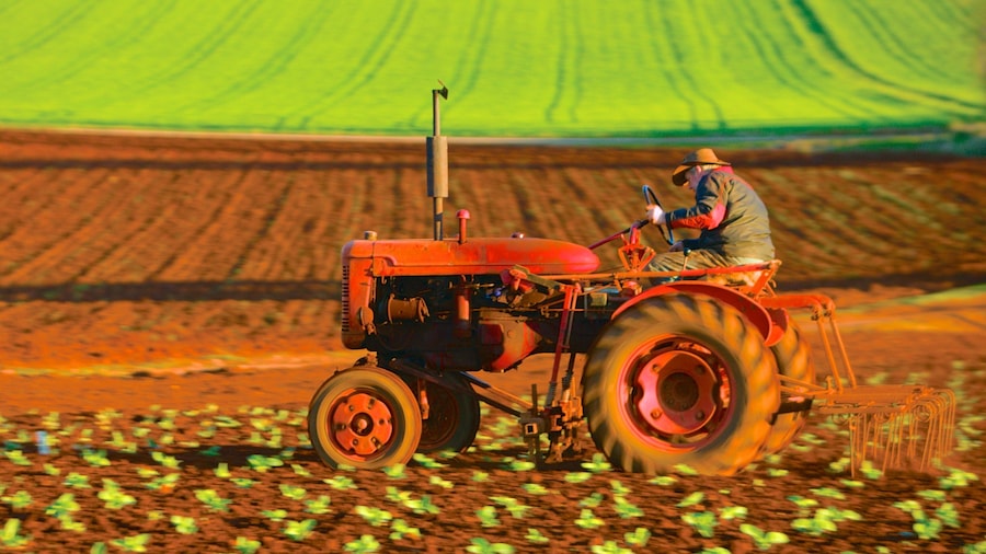 Ulverstone which includes farmland as well as an individual male