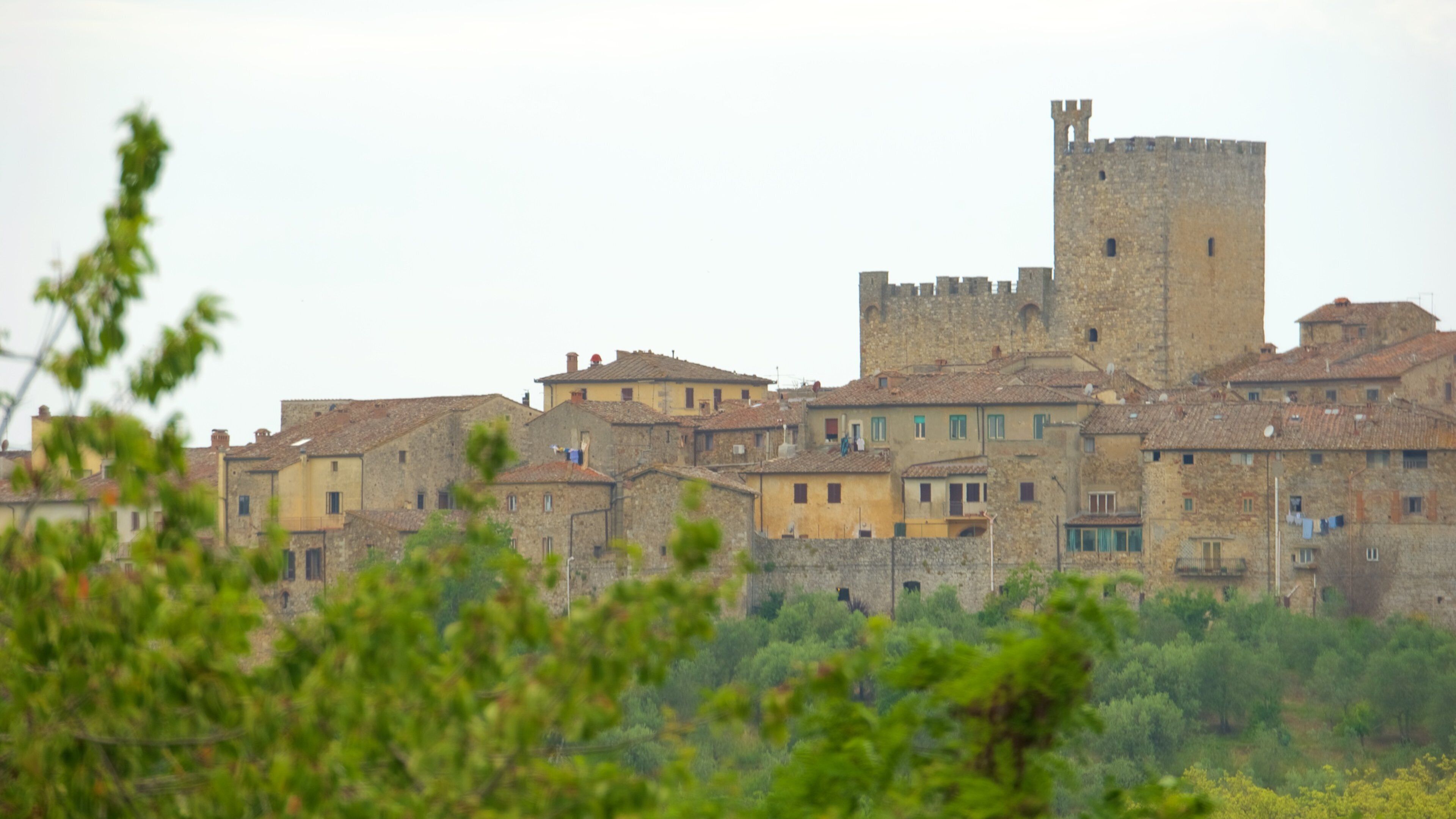 Castellina in Chianti fasiliteter samt by