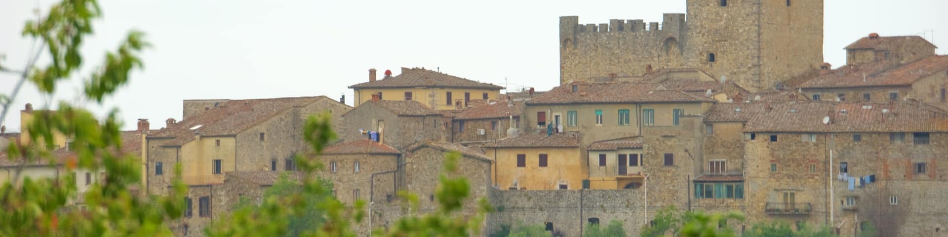 Castellina in Chianti featuring a city