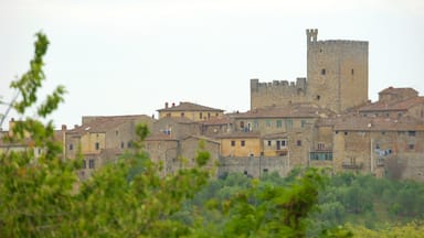 Castellina in Chianti featuring a city