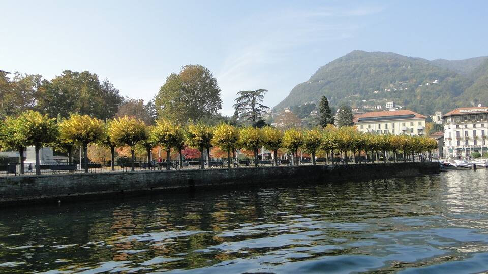 A waterfront promenade with trees lining the path, a body of water reflecting the surroundings, and buildings in the background.