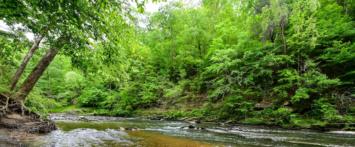 A Walk by the Cahaba River in Birmingham, Alabama