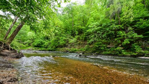A Walk by the Cahaba River in Birmingham, Alabama